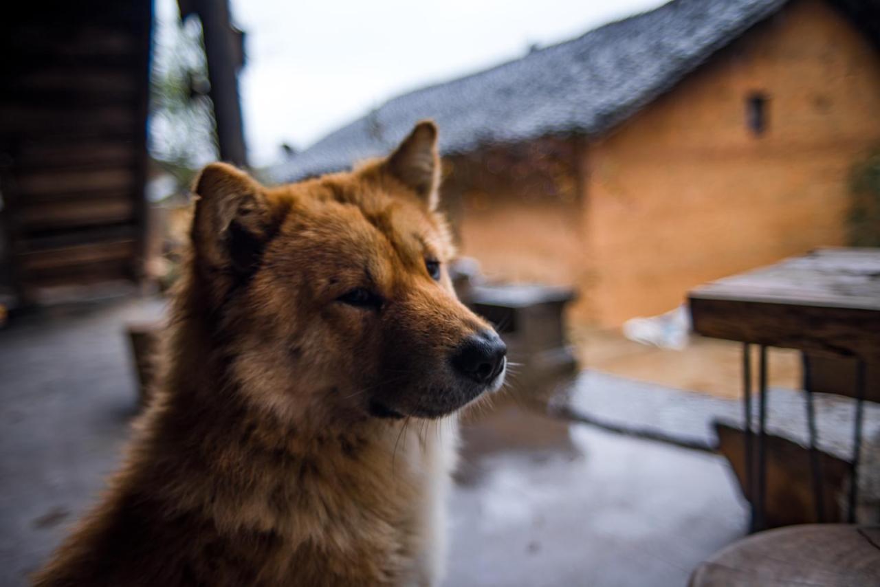 Ma Le Homestay Dong Van  Exterior foto